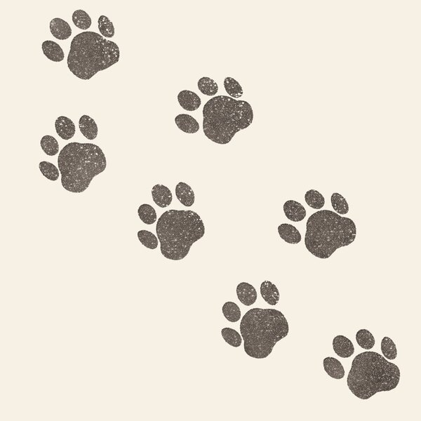 4014995843814 - Servietten 33 x 33 cm Motiv Paws 4014995843814 Braun und Company 4014995843814 - Servietten 33 x 33 cm Motiv Paws 4014995843814 Braun und Company
