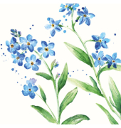 Motivserviette 25x25cm