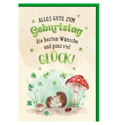 Geburtstagskarten 5510053 11,5x17 cm 115mm x 170mm (BxH) Spruch bunt