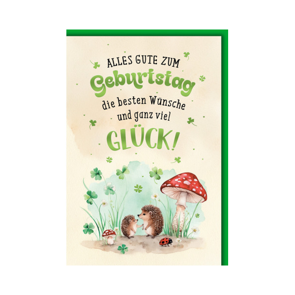 5 Stück Alpedia Geburtstagskarten 5510053 11,5x17 cm 115mm x 170mm (BxH) Spruch bunt 9004546581468 Alpedia
