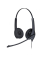Headset BIZ15D Schwarz