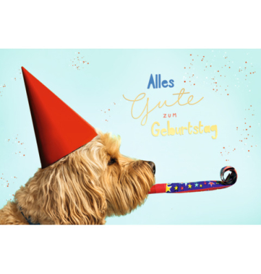 Geburtstagskarten 51-10927 17x11,5 cm 17cm x 115mm (BxH) Hund bunt