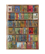Notizbuch FTNB101, bodleian Library - High Jinks Bookshelves, liniert, 88 Blatt