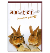 Gl&uuml;ckwunschkarten 64-1301 11,5x17 cm 115mm x 170mm (BxH) bunt