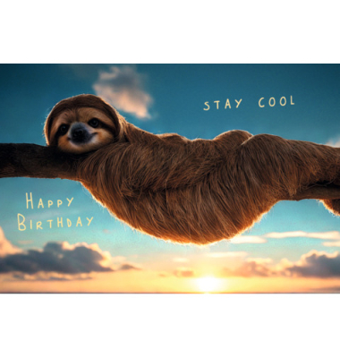 Geburtstagskarten 51-10950 17x11,5 cm 17cm x 115mm (BxH) Faultier bunt