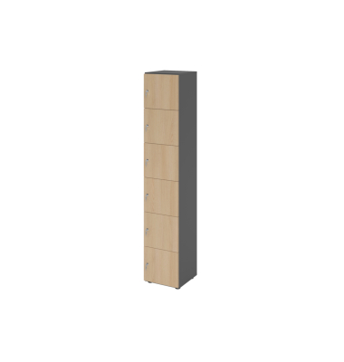 Schliessfach- schrank 6OH gp/ei 6xDS Schliessfach- schrank 6OH gp/ei 6xDS