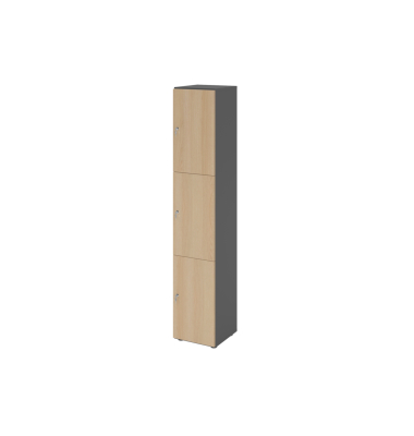 Schliessfach- schrank 6OH gp/ei 3xDS Schliessfach- schrank 6OH gp/ei 3xDS
