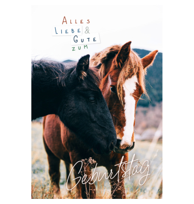 Geburtstagskarten 51-10362 11,5x17 cm 115mm x 170mm (BxH) Pferde bunt