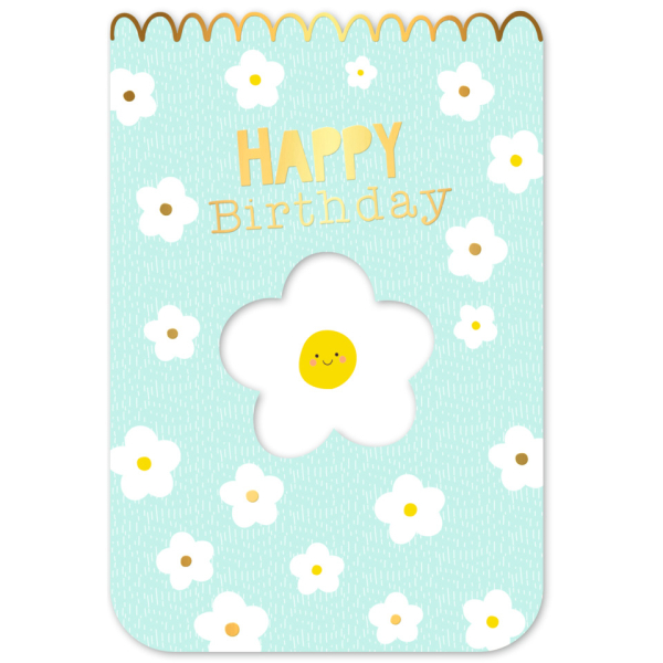 5 Stück Alpedia Geburtstagskarten 51-10877 11,5x17 cm 115mm x 170mm (BxH) Blumen bunt 9004546583929 Alpedia