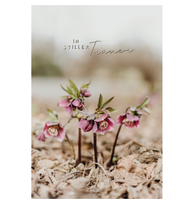 Trauerkarten 81-3914 11,5x17 cm 115mm x 170mm (BxH) schwarz/wei&szlig;