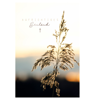 Trauerkarten 81-3910 11,5x17 cm 115mm x 170mm (BxH) schwarz/wei&szlig;