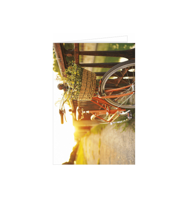 Gl&uuml;ckwunschkarten 49-11000 11,5x17 cm 115mm x 170mm (BxH) bunt