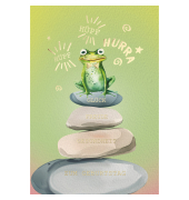 Geburtstagskarten 51-0387 11,5x17 cm 115mm x 170mm (BxH) Frosch wei&szlig;/bunt
