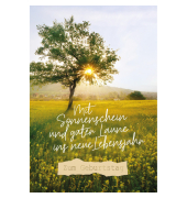 Geburtstagskarten 51-5118 11,5x17 cm 115mm x 170mm (BxH) Wiese bunt