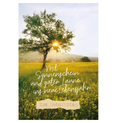 Geburtstagskarten 51-5118 11,5x17 cm 115mm x 170mm (BxH) Wiese bunt