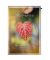 Trauerkarten 811327 11,5x17 cm 115mm x 170mm (BxH) bunt