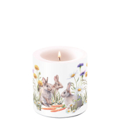 Frühj. Kerze 9cm Karotten