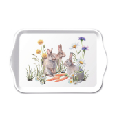 Frühj. Tablett 13x21cm Karotten