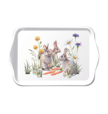 Frühj. Tablett 13x21cm Karotten