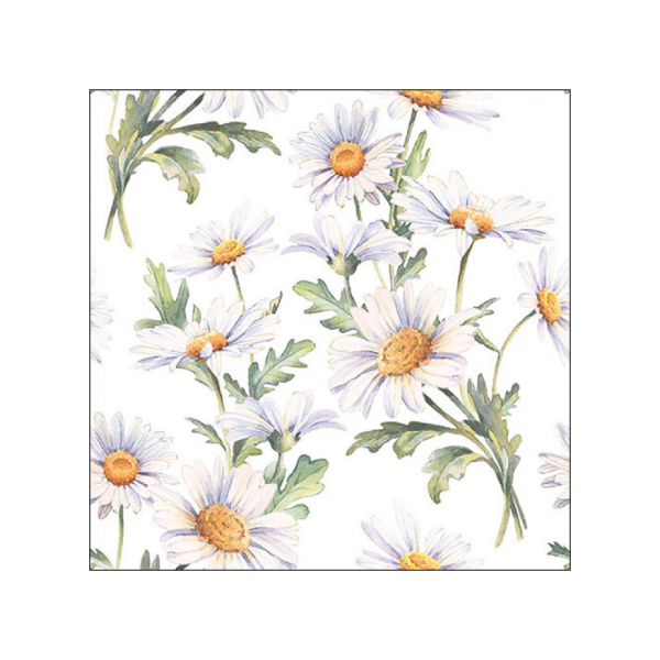 8712159202137 - Motivserviette 33x33cm Gänseblümchen 8712159202137 20 Stück