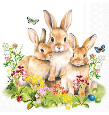 Frühj.Motivserviette 33x33cmHasenfamilie