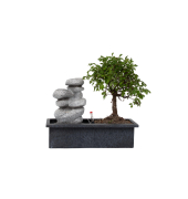 Bonsai Wasserfall-Set Stones 29cm