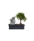 Bonsai Wasserfall-Set Stones 29cm