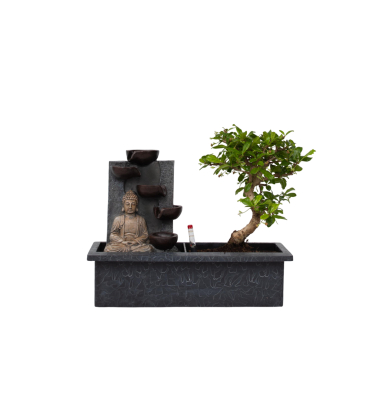 Bonsai Wasserfall-Set Buddha 29cm