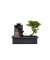 Bonsai Wasserfall-Set Buddha 29cm