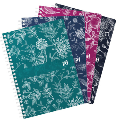 Spiralbuch A560BL liniert sortiert