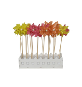 Windrad im Display sortiert