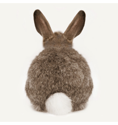 Motivservietten Atelier 1211-26306, braun / Hase, 3-lagig, 33x33cm