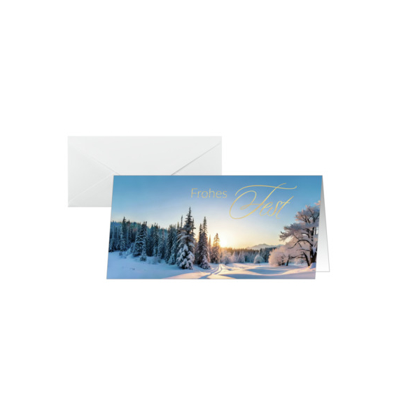 Sigel Weihnachtlicher Design Karte 25ST DIN lang 4004360769221 Sigel