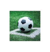 Motivserviette 33x33cm Fu&szlig;ball