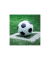 Motivservietten 13309360 / Fu&szlig;ball, 3-lagig