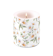 Kerze 10cm Schöne Gänseblümchen