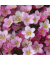 Motivservietten 212022, hellrosa/dunkelrosa / Blumen, 3-lagig, 33x33cm
