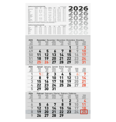 Dreimonatskalender 5060114006, 3 Monate / 1 Seite, 30x52cm, 2026