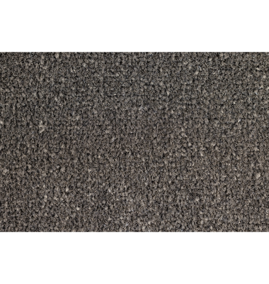 Schmutzfangmatte 50031 EAZYCARE RUSH, rechteckig