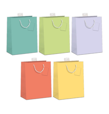 Geschenktragetasche Blanko sortiert