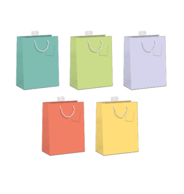 Geschenktragetasche Blanko sortiert