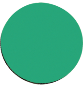 Magnet Kreis 10mm 10g gr&uuml;n 50 St./Pack.