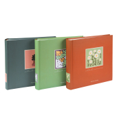 Einsteckalbum Aura sortiert