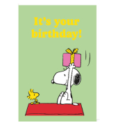 Geburtstagskarte Snoopy englisch