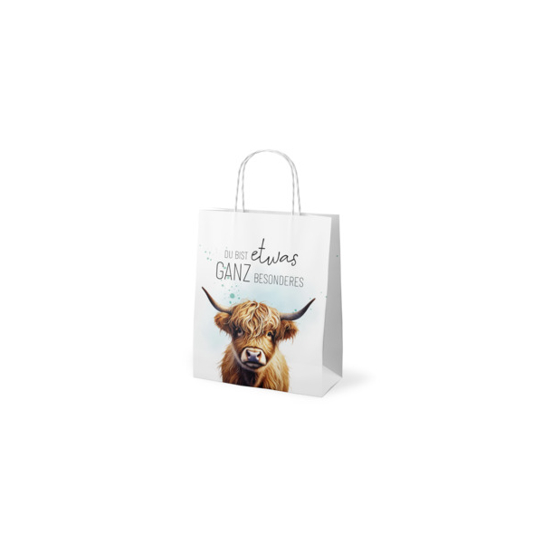 12 Stück LA VIDA Geschenktasche 991803, Rind, 200mm x 240mm 4027268359653 LA VIDA