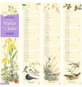 Streifenkalender 11x49cm