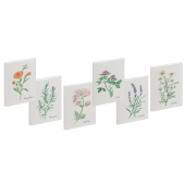 Notizbuch A6 64BL Kr&auml;uter sortiert