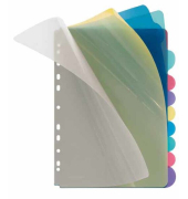Kunststoffregister 4248800, 10-teilig blanko, A4, farbige Taben, 10-teilig
