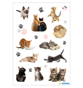 Scmucketikette Decor Katzenkinder
