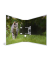 Ordner A470mm Katze